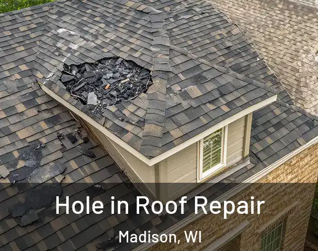  Hole in Roof Repair Madison, WI