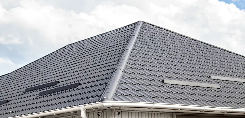 Roof Gully Repair in Madison