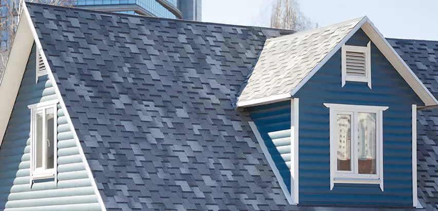 Shingle Roof Maintenance in Madison