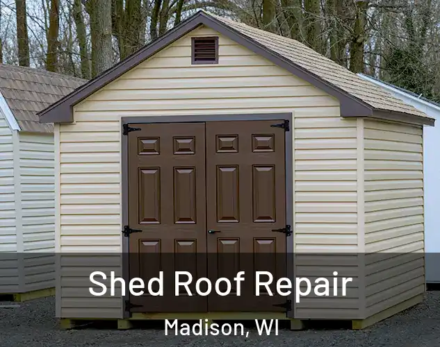  Shed Roof Repair Madison, WI