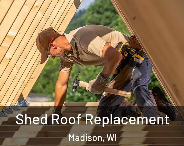  Shed Roof Replacement Madison, WI