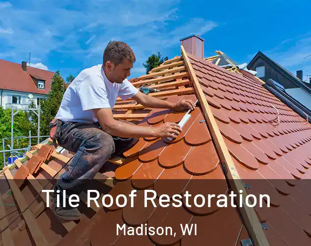  Tile Roof Restoration Madison, WI